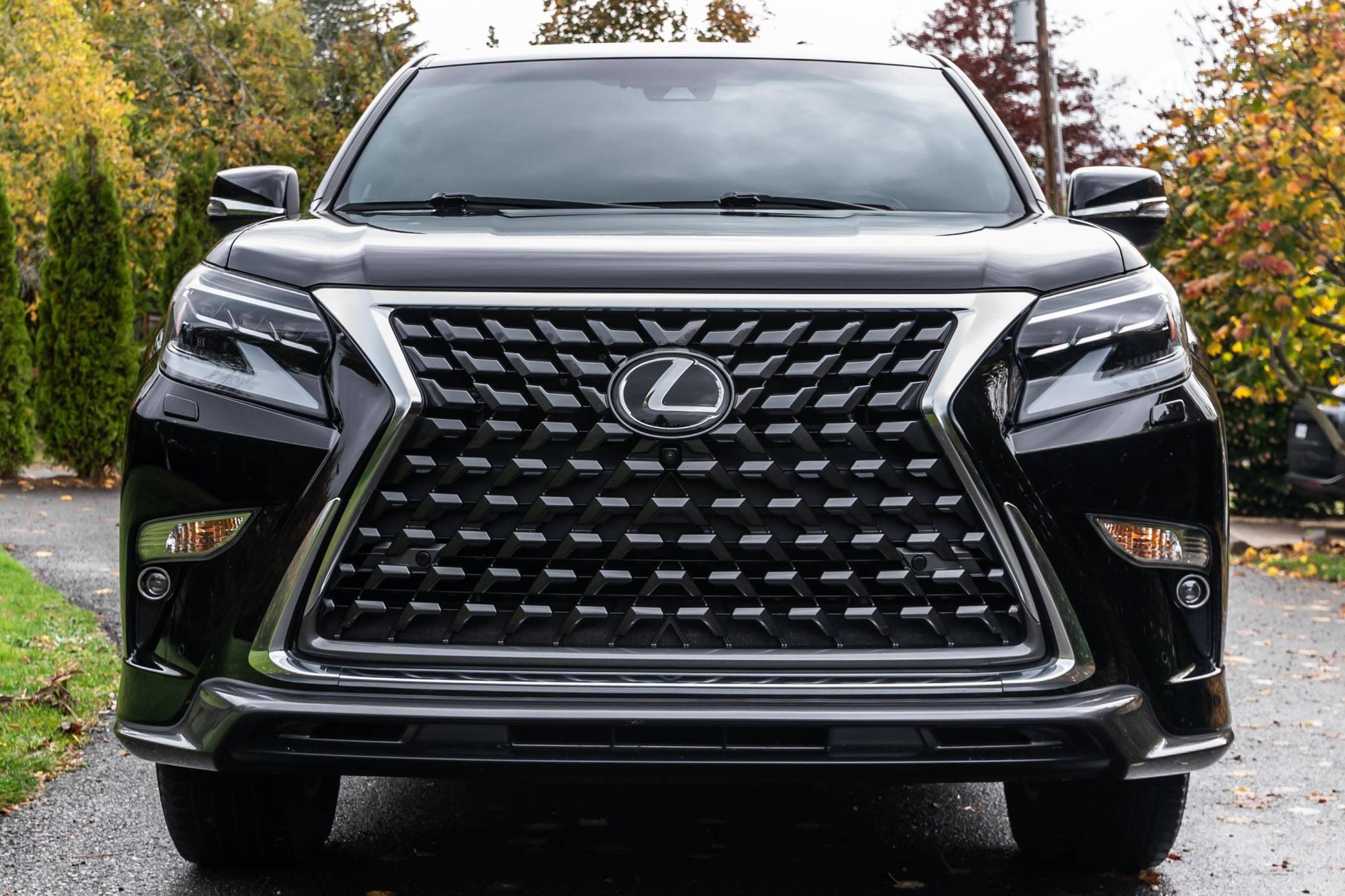 2020 Lexus GX 460 Exterior 2