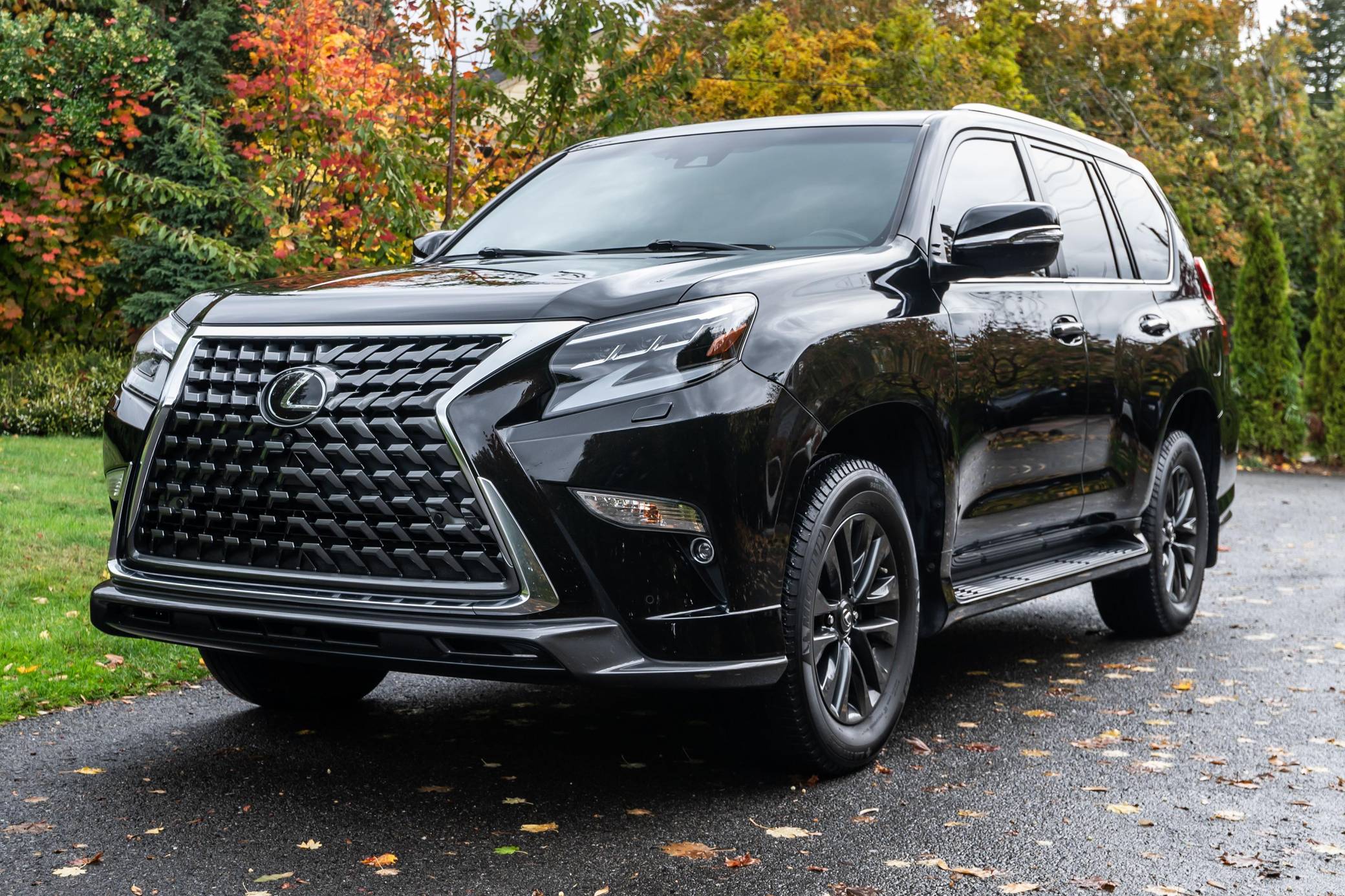 2020 Lexus GX 460 Exterior 6